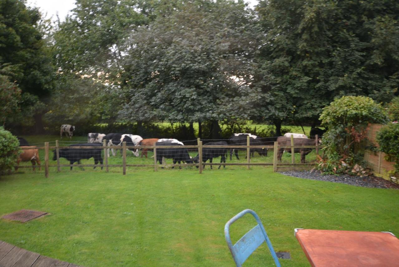 Bed & Breakfast Walton Crescent *